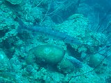 Curacao 04-12 175